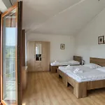 Pensjonat Vlasta 4*