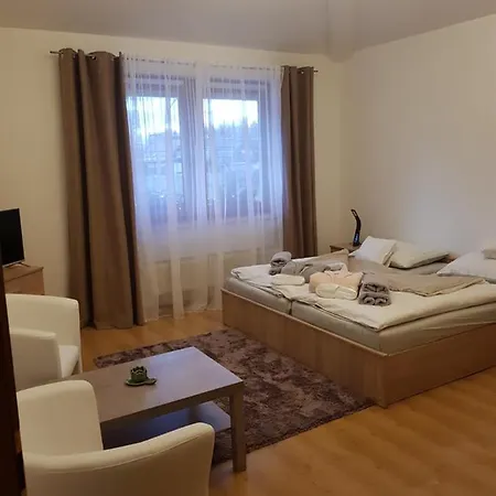 Casa de hóspedes Vlasta 4*