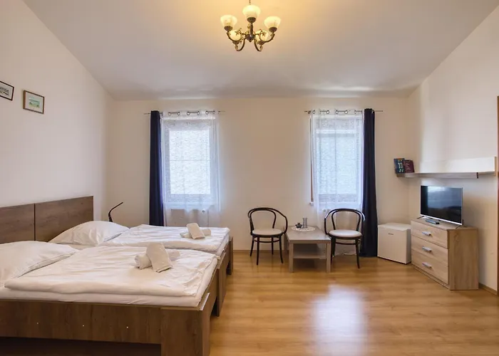 Vlasta 4*