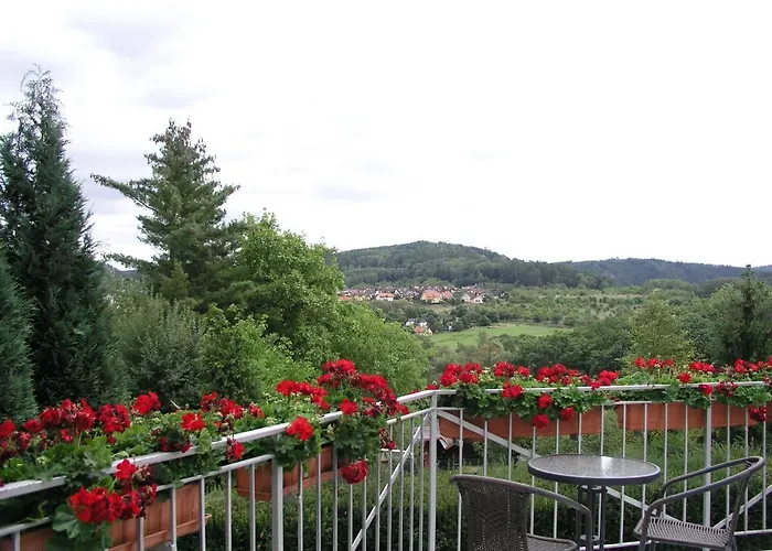 Vlasta Karlovy Vary